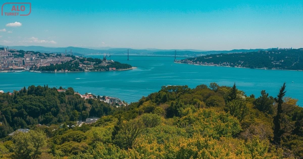 The Complete Guide to Exploring Sariyer, Istanbul | Nature, Forest and  Bosphorus